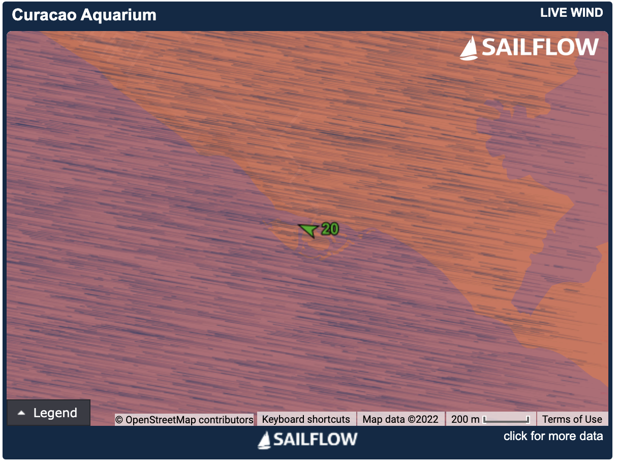 LIVE_WIND_WIDGET.png